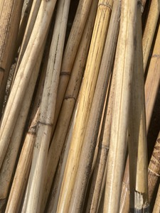 วัสดุเสาหวาย-เสาหวายสำหรับทำสายรัดหวาย - Product Image 5