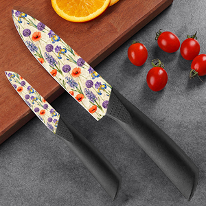 Juego de Cuchillos de Chef Profesionales de Cerámica con Mangos de Plástico, Diseño Ambidiestro, Aptos para Lavavajillas, Afilados, Ideales para Regalo, Entrega Rápida - Product Image 4