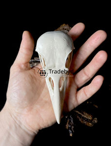 Statue d'animal sculptée en résine de designer Tradebyd, qualité supérieure, objet décoratif artistique de collection pour l'intérieur de la maison, cadeau - Product Image 6