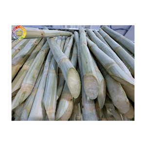 Zumo de caña de azúcar congelado listo para usar o líquido puro excelente para cócteles batidos y bebidas frescas suministro a granel Vietnam - Product Image 6