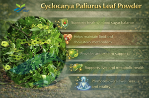 HGO Fournisseur direct d'usine de poudre de feuilles de Cyclocarya Paliurus pure et naturelle, qualité alimentaire, spécification 10:1, extrait - Product Image 5