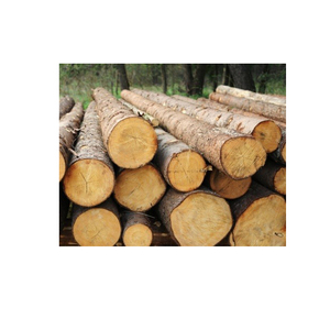 High Quality Dried Pine Wood <b>Log</b> Bulk Wholesale Price White Ash Kay <b>Firewood</b> Pine Saw <b>Log</b> Timber Pine <b>Logs</b> - Product Image 3