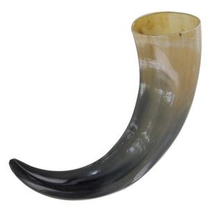 Shofar tradicional Kosher ecológico, Shofar de cuerno de carnero pulido con acabado Natural, artesanía de estilo Feng Shui DE LA India, precio bajo - Product Image 6
