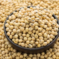 Exportateurs en gros de soja OGM et non-OGM