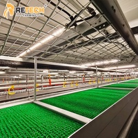 Équipement de cage d'élevage au sol de type H automatique pour 10 000 poulets de chair en élevage en Indonésie