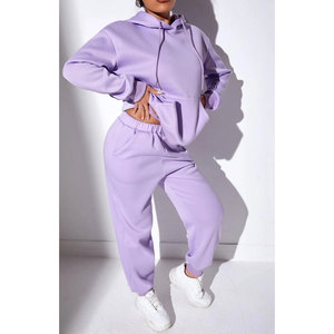 Ensembles de survêtement d'hiver 2 pièces en molleton de coton pour femmes nouveau sweat à capuche et pantalon de survêtement à motif solide imprimé avec logo personnalisé Design respirant - Product Image 1