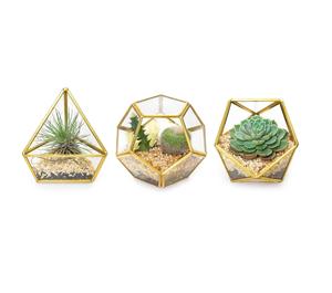 Vintage Design Glass Terrarium Geometric <b>Mini</b> Gardens for Air Plants Home Decor Office Decor At Best Price . - Product Image 3
