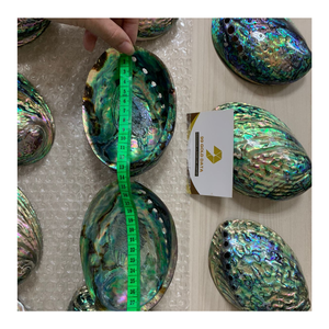 เปลือกหอยเป๋าฮื้อขัด/ขัดมันสวยงามเปลือกหอยเป๋าฮื้อขัดเงาสีขาว/เขียวธรรมชาติ - Product Image 1