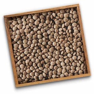 Proveedor Mayorista de Lentejas Verdes Orgánicas Naturales a Precio de Fábrica - Product Image 5