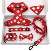 Collection d'accessoires festifs pour animaux de compagnie Collier de Noël, bandana et nœud papillon personnalisés