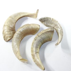 Nouveau 2025 vente corne de bélier mouton soufflant fabriqué à la main 100% Top qualité fabricant en gros corne de mouton naturelle produit le plus vendu - Product Image 1