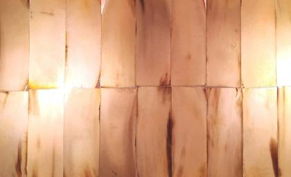 ธรรมชาติ