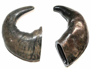 Friandises pour chiens en corne de buffle, meilleur que les cornes de cerf, corne de buffle, petite taille, meilleure qualité pour friandises pour chiens, provenance d'Inde - Product Image 2