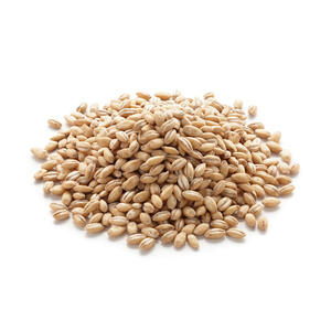 Alimentar grano de Cebada/grano de malta de cebada/Cebada descascarillada - Product Image 3