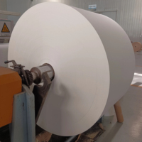 Papel Periódico de Primera Calidad, 45-55 Gsm, Rollos y Hojas de Papel Periódico Blanco Listos para Exportar a Todo el Mundo