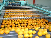 Laagste Prijzen Sap Productielijn Met Hoogwaardig Materiaal Gemaakt Voor Industrieel Gebruik Door Exporteurs