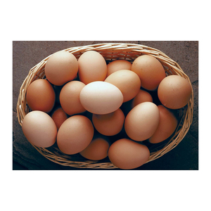 Huevos marrones disponibles a precio económico para compras al por mayor con stock confiable - Product Image 5