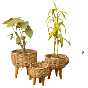 Kahverengi ve beyaz Moonj çim ekici toptan fiyata doğrudan hint fabrikadan ev dekor için Beast fiyata <span class=keywords><strong>Set</strong></span> - Product Image 3