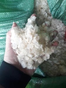 อาหารทะเลจากเวียดนามโปรตีนและสารอาหารระดับปลานิลตากแห้งเม็ดปลากะพงแดง Lujanus เกล็ดปลา