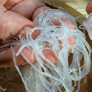 Fideos de vidrio sin gluten de alta calidad, fideos de almidón de alta calidad con servicio OEM, bolsa de estilo seco Vietnam/Cana de exportación completa - Product Image 5