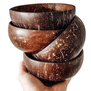 Venta superior 2025 Tazón de cáscara de coco orgánico natural Pequeño Vietnam con juego de cuchara Logotipo hecho de cáscara de coco de alta calidad 100% - Product Image 1