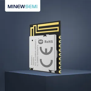 Modulo MinewSemi Nordic nRF52805 BLE 5.0 con BQB FCC CE IC per progetti sensibili ai costi