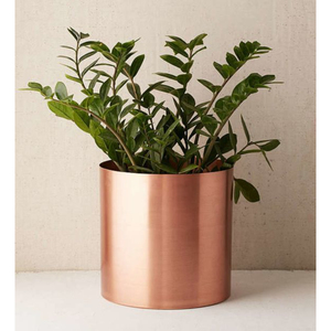Plantas decorativas de oro Contenedor de hierbas Vasos de decoración del hogar de gran tamaño Macetas domésticas para proveedores mayoristas - Product Image 4