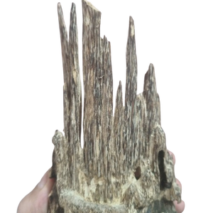 Madera de agar de alta calidad: Una fragancia que vale la pena explorar - Product Image 2