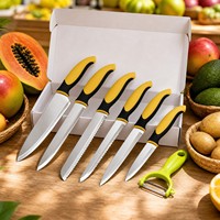 Ensemble de 6 couteaux de cuisine en acier inoxydable avec manche coloré et éplucheur, couteau de chef, outil pour légumes et fruits, vente en gros