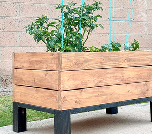 Jardinière minimaliste en bois pour herbes aromatiques (auto-arrosante) - Product Image 4