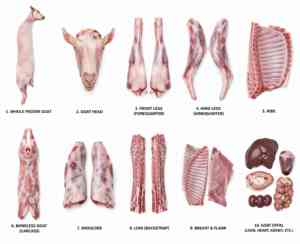 Viande d'agneau fraîche congelée, agneau nourri à l'herbe, carcasse d'agneau de qualité export - Product Image 4