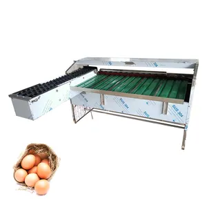 Egg Cleaning Grading Machine Simple Egg Weight Grading Machine Egg Grading Machine For Sale