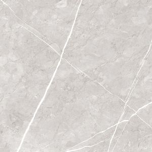 Azulejos de Porcelana de Diseño Premium Fabricados en India, 600x600 mm, Destacan por su Alta Demanda en Decoración del Hogar y Oficina - Product Image 5