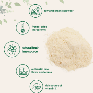EXPORT STANDARD DRIED LIME POWDER - HIGH NUTRITION LIME FRUIT EXTRACT WITH ISO HACCP - Product Image 1