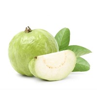 Yabani Guava Meyve Ekstresi Tozu Doğal Gıda Sınıfı Gıda ve Takviyeler İçin Toplu Tedarik ve Tayland'dan OEM Üretici