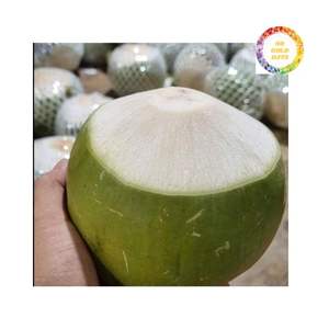 Premium Gourmet Vietnam Ring Pull Coconut-Hidratante Naturalmente - Product Image 1