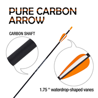 Flèche en Fibre de Carbone Personnalisée en Gros d'Usine, 4,2mm 31" Empennage Goutte d'Eau 1,75" Acier, Tir de Précision, Tir à l'Arc Extérieur