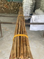 Cañas de plantas de bambú verde de alta calidad Caña de bambú entera o poste directo de los fabricantes Materias primas de calidad Producto 2025