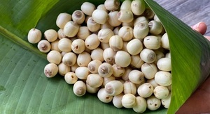 ผลไม้แห้งเมล็ดบัวสินค้ายอดนิยม - Product Image 4