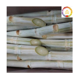 Natural <b>Sweet</b> Frozen Sugarcane Sticks From Vietnam Ready To Use For Juicing Smoothie Production And International Wholesale - Product Image 1