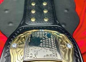 Ceinture de championnat personnalisable, légère et de qualité supérieure, avec logo personnalisé, options de design uniques pour les récompenses sportives, taille personnalisée - Product Image 5