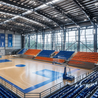 Pabellón de Acero de Gran Espacio con Diseño Personalizado y Solución Estructural Avanzada para Proyectos Deportivos Globales