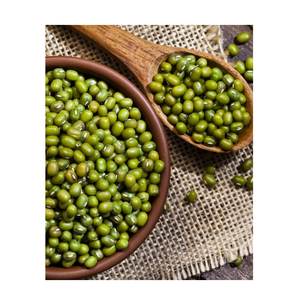 Haricots mungo de haute qualité en gros, 3,8 mm, grande taille, haricots Vigna, haricots mungo verts pour germination - Product Image 6