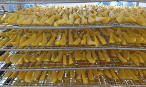 Fournisseur vietnamien de mangues séchées en tranches, 100% naturelles et biologiques, de haute qualité, procédé de lyophilisation AD, sans sucre, emballage sous vide - Product Image 2