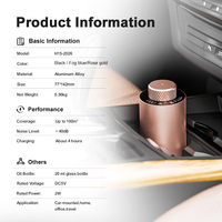 Diffuseur d'arômes compact DANQ pour voiture, contrôle tactile, 20 ml, rechargeable, aluminium, 100 m³, pour chambre d'hôtel, bureau, chambre à coucher, OEM ODM
