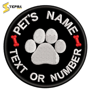 Nouvelle arrivée meilleure vente de service OEM qui avait fabriqué des patchs de broderie personnalisés par TEPRA SPORTS - Product Image 2