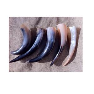 <b>Drinking</b> Horns With Horn <b>Stand</b> Made of Buffalo Horns Manufacturer and Exporter From India Handicraft - Product Image 6