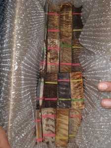 Ram Horn Scale Animal Angel Ecológico Artesanía hecha a mano Personalizable Tamaño/Color/Forma Mejor calidad Bajo precio al por mayor 100% - Product Image 6