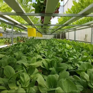 ÉPINARDS hachés PURS/SUPPORT EN FER/ÉTIQUETTE NETTOYANTE/À BASE DE PLANTES - Product Image 4