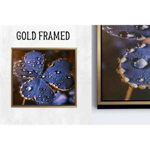 Tableau imprimé sur toile : Design élégant de fleurs et de gouttes d'eau sur verre, 1P Goldframedcanvas - Product Image 1